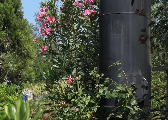 Lägenhet With A Parking Space Starigrad, Paklenica - 6527